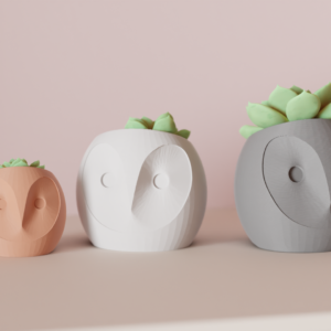 Cute Owl Planter (3D Printed - Multiple Color Available)